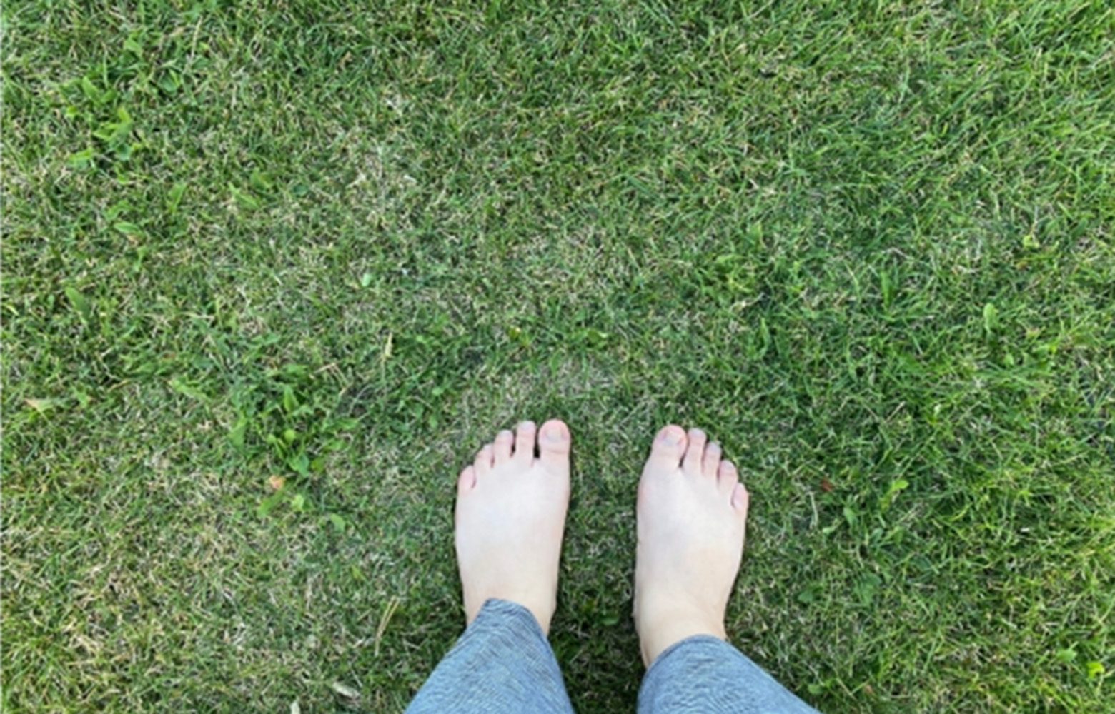 八王子本店の写真